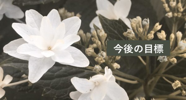 LiDoブログの目標